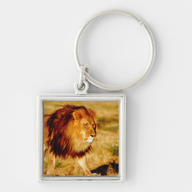 Porte-clés Lion solitaire (Devant)
