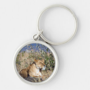 Porte-clés Lioness resting