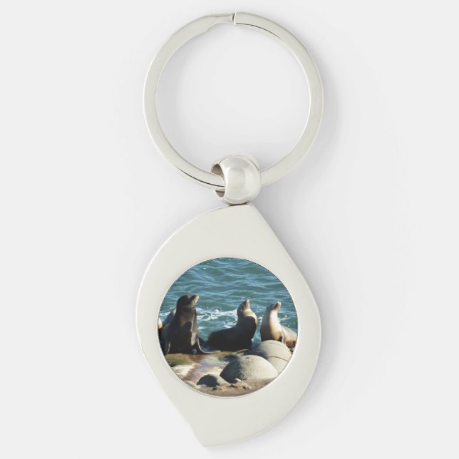 Porte-clés Lions de la mer de San Diego (Devant)