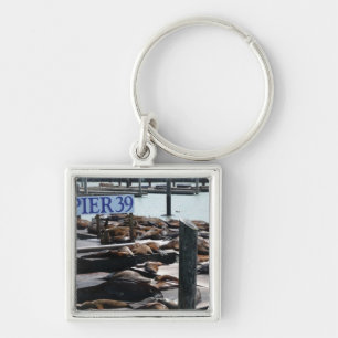 Porte-clés Lions de mer du quai 39