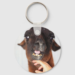 Porte-clés Llama Love