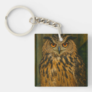 Porte-clés L'observateur - Aigle eurasien à la lumière du boi