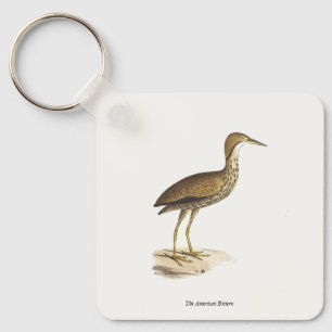 Porte-clés L'oiseau de Bittern américain (Botaurus lentiginos