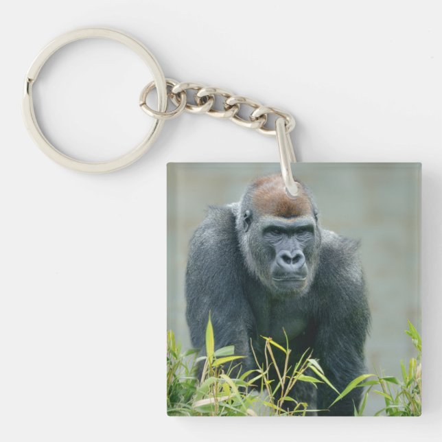 Porte-clés Lope de Gorilla Blackback (Devant)