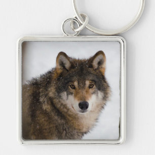 Porte-clés Loup