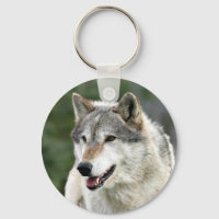 Loup