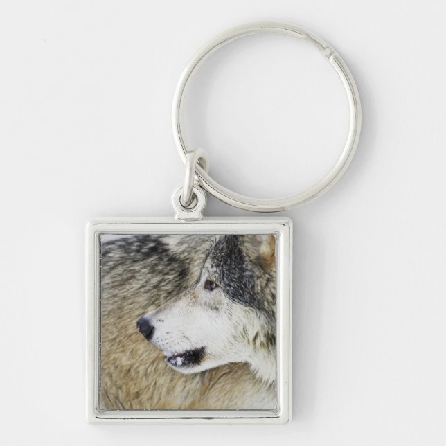 Porte-clés Loup (Devant)
