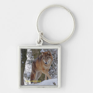 Porte-clés Loup de Yellowstone