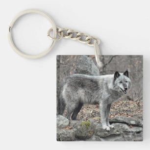 Porte-clés Loup gris