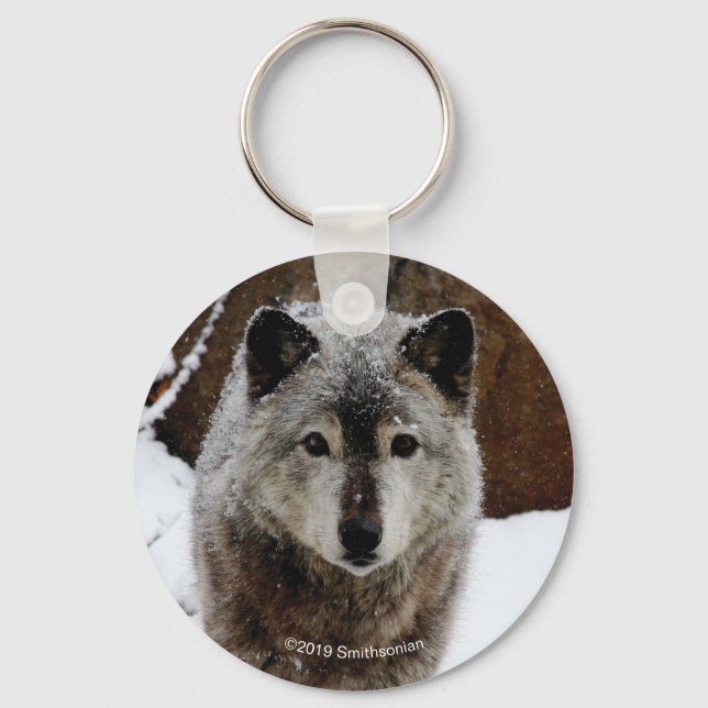 Porte-clés Loup gris en neige (Recto)