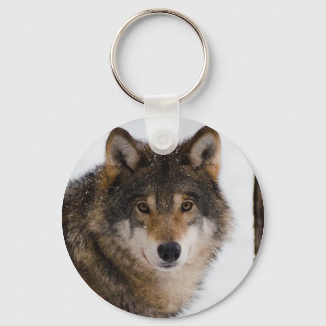 Porte-clés Loup gris européen (Recto)