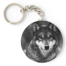 Loup noir et blanc