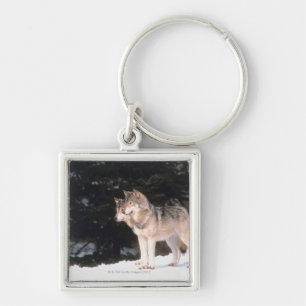 Porte-clés Loups gris