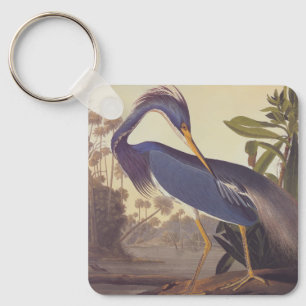 Porte-clés Lousiana Heron en gris, vert et bleu par Audubon