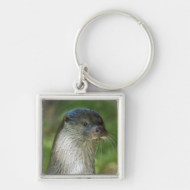 Porte-clés Loutre (Devant)