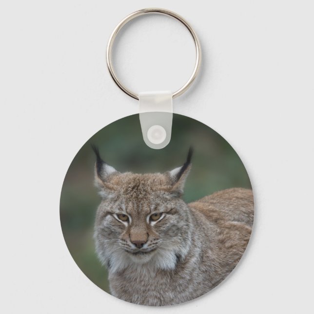 Porte-clés Lynx Vous Regardant Classique (Recto)
