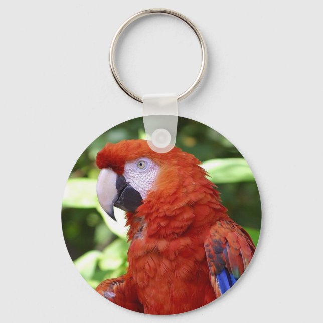 Porte-clés macaw (Recto)