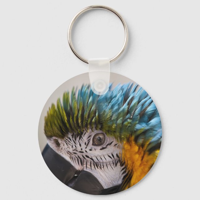 Porte-clés Macaw Parrot - Porte - clé (Recto)