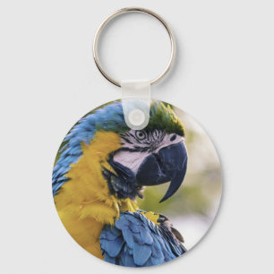 Porte-clés Macaw Parrot Profile Portrait Photograph
