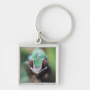 Porte-clés Madagascar, Caméléon panthère à barre rouge