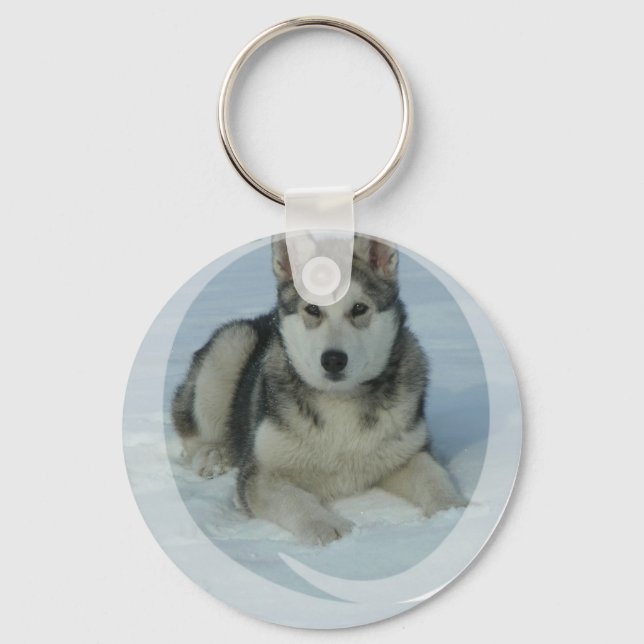 Porte-clés Malamute d'Alaska mignon (Recto)