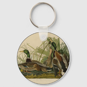 Porte-clés Mallard Duck Audubon Bird Painting