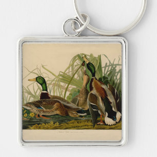 Porte-clés Mallard Duck Audubon Bird Painting