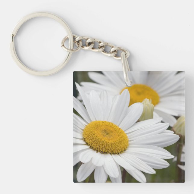 Porte-clés Marguerites assez blanches (Devant)