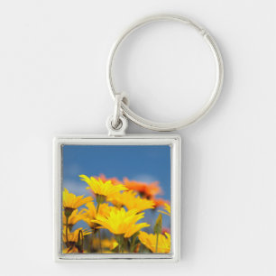 Porte-clés Marguerites orange et jaune de Namaqualand