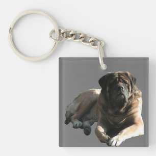 Porte-clés Mastiff Géant Gentil