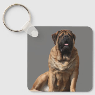 Porte-clés Mastiff Meilleurs amis de la fête des pères