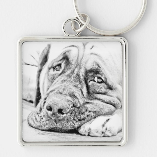 Porte-clés Mastiff paresseux (Devant)