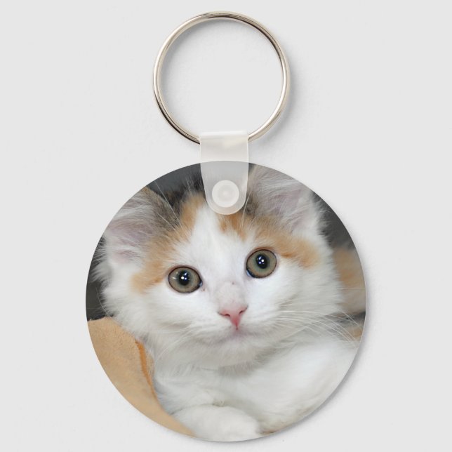 Porte-clés Mediumhair Calico Shelter Kitten Porte - clé (Recto)