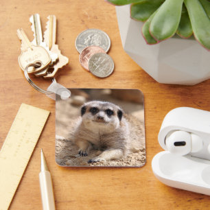 Porte-clés Meerkat 174