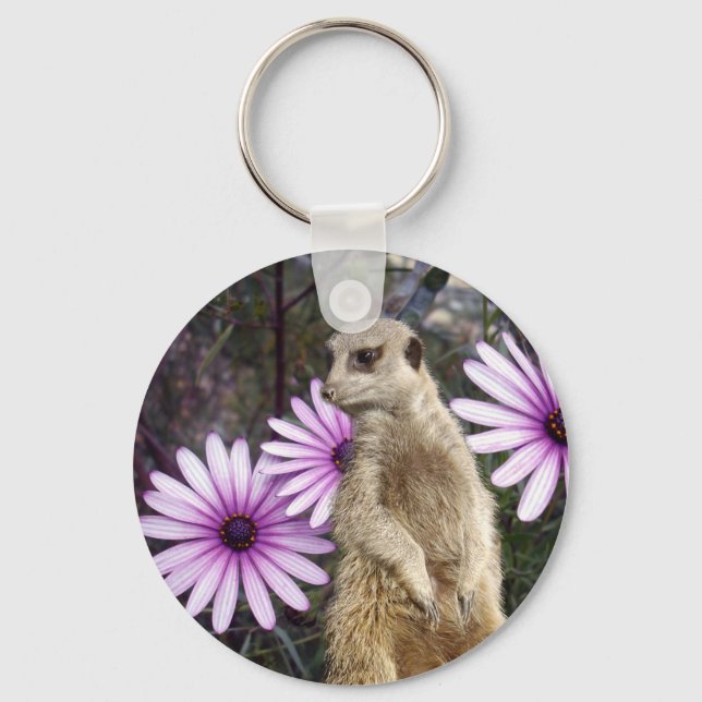 Porte-clés Meerkat_And_Daisies,_ Cercle De Clé (Recto)