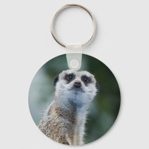 Porte-clés Meerkat Porte - clé