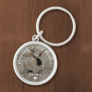 Porte-clés Mémorial de la maison Rabbit   Nom et conservation