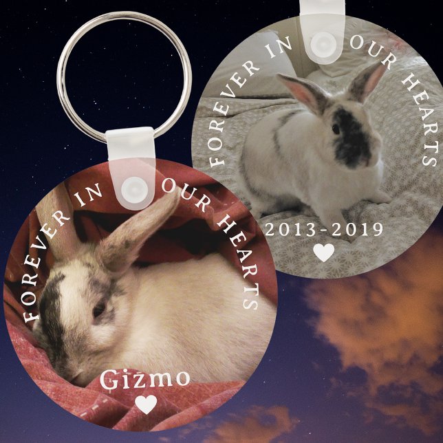 Porte-clés Mémorial du lapin lapin pour animaux de compagnie  (Créateur téléchargé)