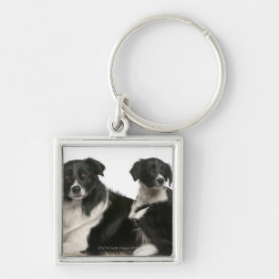 Porte-clés Mère border collie et chiot