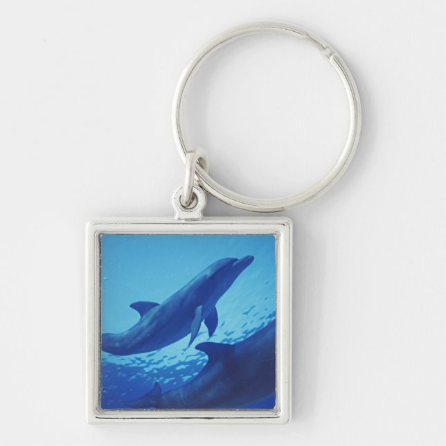 Porte-clés Mexique, Cozumel. Dauphin à col fermé, Tursiops (Devant)