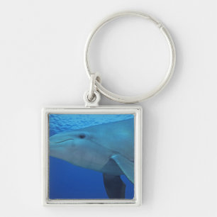 Porte-clés Mexique, Cozumel. Dauphin en bouteille, Tursiops 4
