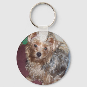 Porte-clés mignon de terrier de Yorkshire