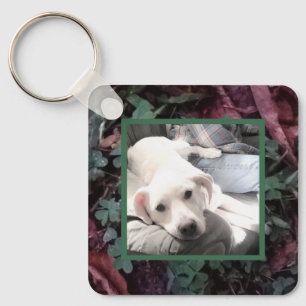 Porte-clés Mignonne Chien Blanc Assis Avec Son Meilleur Père