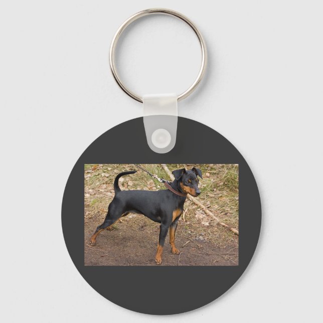 Porte-clés Miniature_pinscher (Recto)