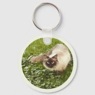 Porte-clés Miss Kitty, Jolie Kitty