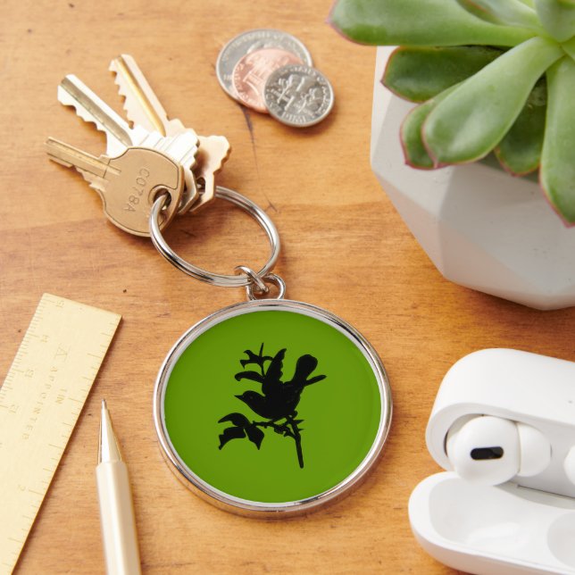 Porte-clés Modifier la couleur Arrière - plan (Bureau)