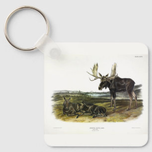 Porte-clés Moose Deer (Moose - Alces alces) par Audubon