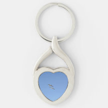 Mouettes volantes -