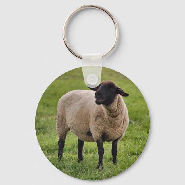 Porte-clés Mouton souriant (Recto)