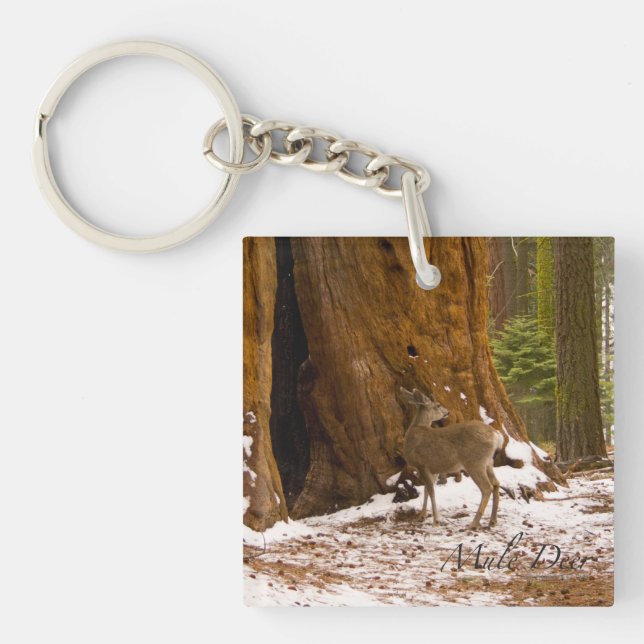 Porte-clés Mule Deer (Devant)